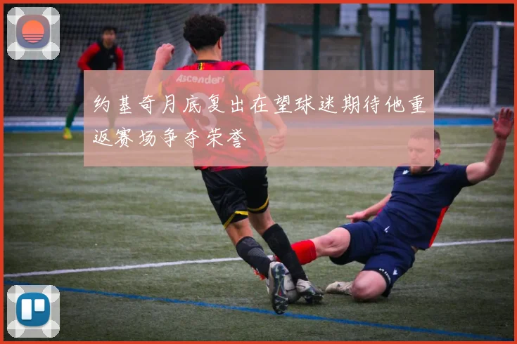 约基奇月底复出在望球迷期待他重返赛场争夺荣誉